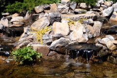 Living Earth Landscapes Gallery Water Feature - Calgary Landscaping