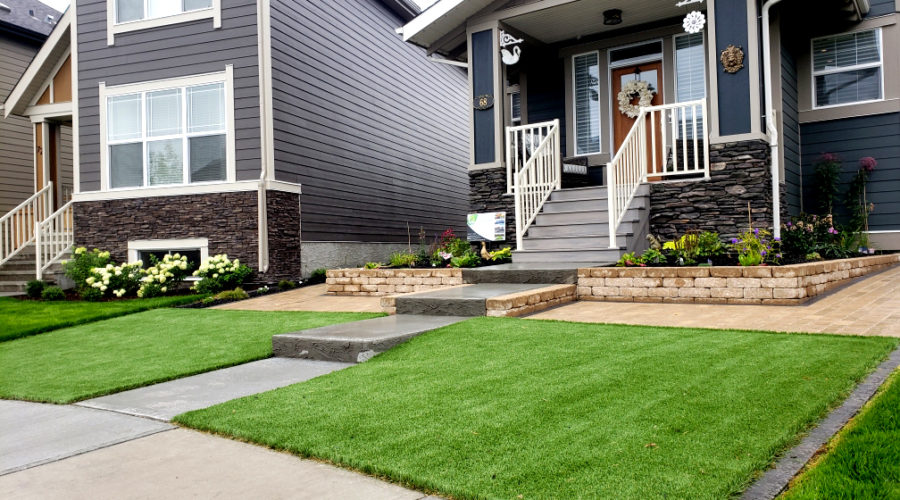 Living Earth Landscapes - How to Care For New Lawn