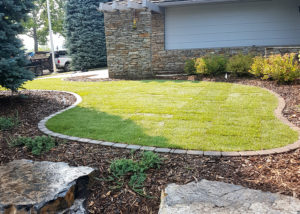 Living Earth Landscapes - Front Yard Landscaping Ideas - Edging