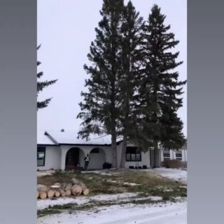 Check out this transformation we just finished up, sent to us by another amazing client @bornbeautyboutique_yyc
Thanks for your support and trust.We're hard at work with the 2022 season in full swing.  Spots are booking up fast!🌱
🌳
🍁
🌿
🌟
#landscapes #landscapedesign #yyclandscaping #yyclandscape #calgarylandscaping  #yyccontractor #yycconstruction #yycsummer #yyc #yycliving #calgary #outdoorliving #outdooroasis #patiolife #yycbuzz